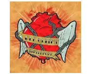 Gli ultimi ''streetpunk''