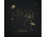 VA Els carrers sempreseran monstres