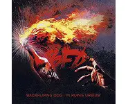 BACKFLIPING DOG - In ruinis urbium