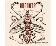 Odonata – Gravitational Perturbation