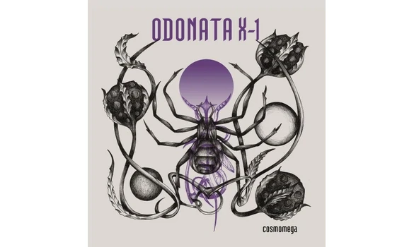 Odonata – Cosmomega