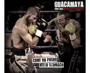 GUACAMAYA - Come Un Pugno Nello Stomaco