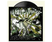 RADIO MAQUIS v/s MYCIAA