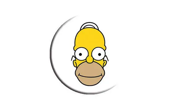 HOMER SIMPSON
