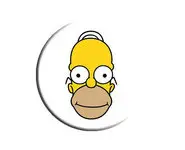 HOMER SIMPSON