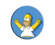 HOMER SIMPSON