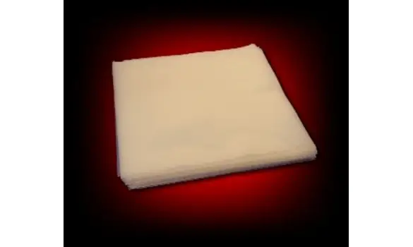 LP PLASTIC SLEEVE x1